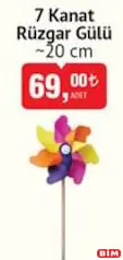 7 KANAT RÜZGAR GÜLÜ 20 CM 7 KANAT RÜZGAR GÜLÜ 20 CM